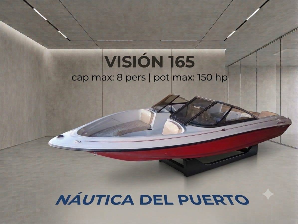Visión 165
